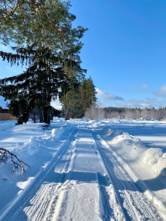 Caloroczne Domy Z Bala - Casa Del Czyzyk Serwy Kültér fotó