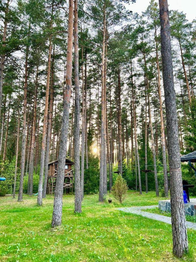 Caloroczne Domy Z Bala - Casa Del Czyzyk Serwy Kültér fotó